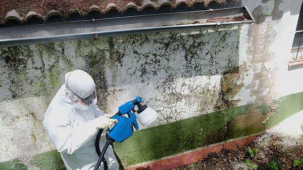 Top rated local Attic Mold Removal specialists in Eatontown, NJ